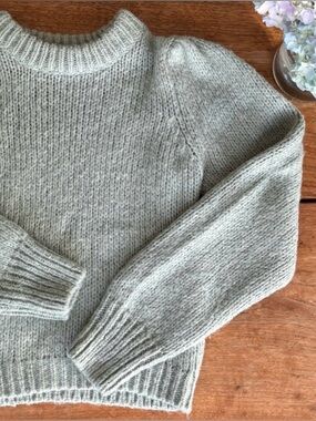 Envii Women's Small Crew Neck Sweater Light Sage Green Grey Scandi Style P2P 17”